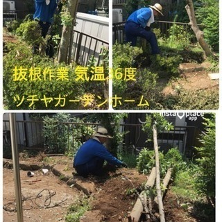 木の伐採 山林伐採抜根、庭の手入れ店【所沢市】 - 剪定/造園