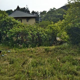 三島市玉沢の土地売ります。園芸や畑に最適です。