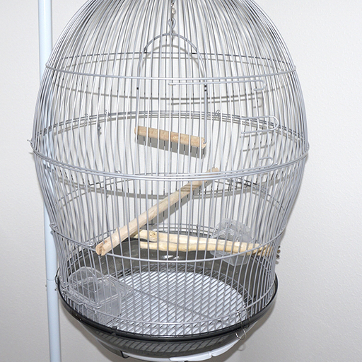 美品 鳥かご 全長高 約166cm バードゲージ 鳥ケージ ハウス 家 小鳥ゲージ 鳥籠 鳥篭 鳥カゴ お洒落 まるいんこ 元町のその他の中古あげます 譲ります ジモティーで不用品の処分 美品 鳥かご 全長高 約166cm バードゲージ 鳥ケージ ハウス 家 小鳥ゲージ 鳥籠 鳥篭 鳥カゴ お洒落 まるいんこ 元町のその他の中古あげます 譲ります ジモティーで不用品の処分