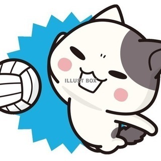 Let's do Volleyballの画像