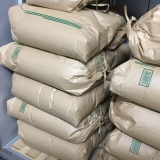 平成30年産 夢つくし 玄米30キロ