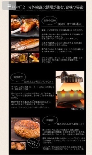 新品 ザイグルハンサム SJ-100 | noonanwaste.com