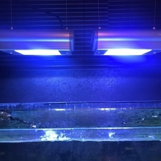 水槽用照明メタハラ150Wジェックス