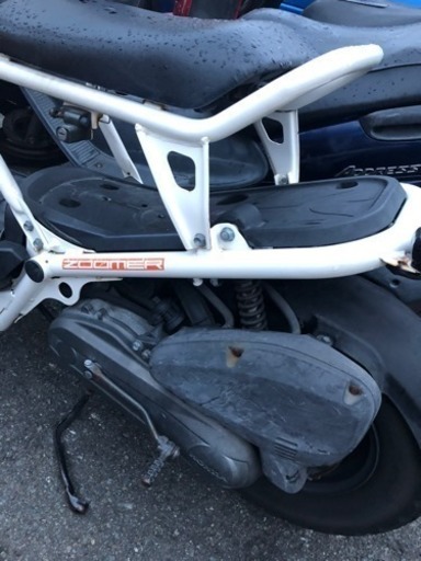 HONDA ズーマー 白色 3.3万キロ エンジンガラガラ 福岡市南区 | procomm.ca