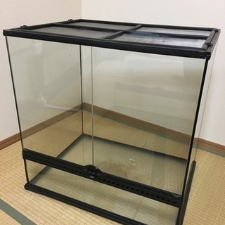 GEX エキゾテラ グラステラリウム 6060 爬虫類 ケージ 代引不可