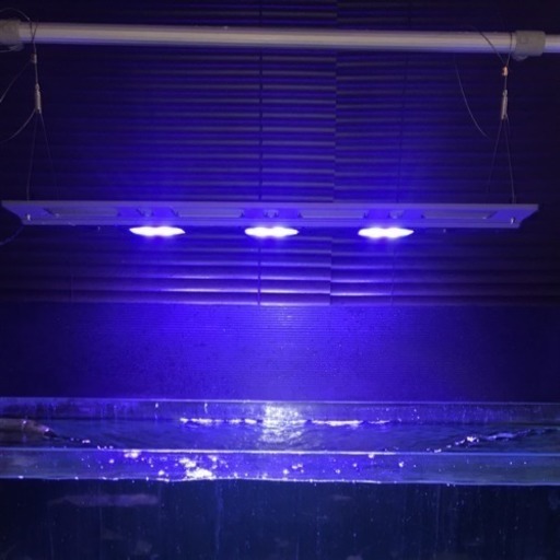 水槽用照明LEDマックススペクト180W