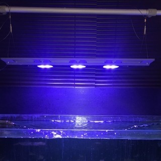 水槽用照明LEDマックススペクト180W