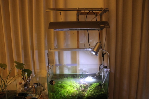 水槽関連adaco2二酸化炭素外部フィルターメタハラled Yy 北九州のその他の中古あげます 譲ります ジモティーで不用品の処分