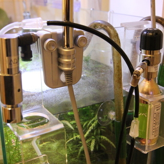 とっておきし新春福袋 Ada Co2レギュレーター メタハラ 魚用品 水草 Terosrestaurant Com