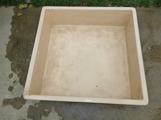 名門 絡み合い 静的 Frp 水槽 らんちゅう Manate Jp