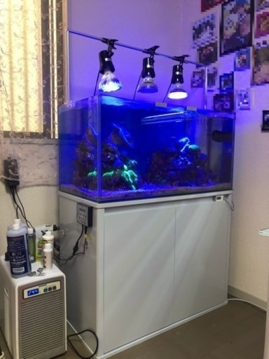 オーバーフロー90cm水槽 フルセット生体、付属品付き(12月中引取、最終値下げしました)