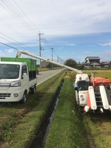 新米 兵庫県産 ひのひかり 玄米 30kg