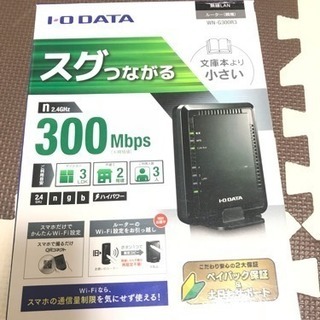 IO-DATA 無線LANルーター WN-G300R3