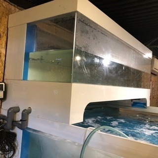✳︎中古二段式大型水槽✳︎