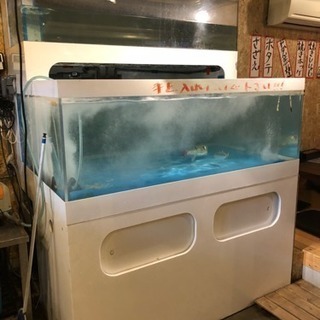 ✳︎中古二段式大型水槽✳︎