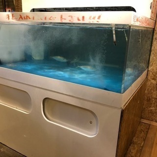 大阪府の中古大型水槽が無料 格安で買える ジモティー