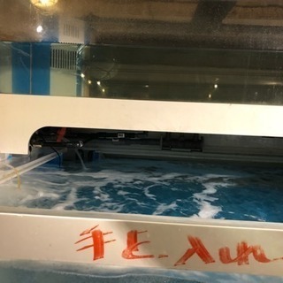 ✳︎中古二段式大型水槽✳︎