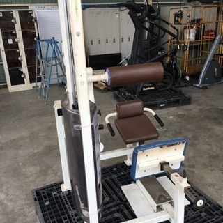 バックエクステンション