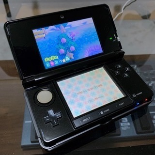 Nintendo 3DS (どうぶつの森入り)