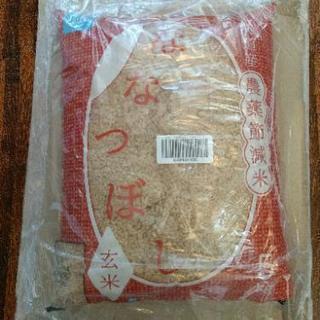 未開封　玄米 北海道産 農薬節減米 ななつぼし 5kg 平成29年産

