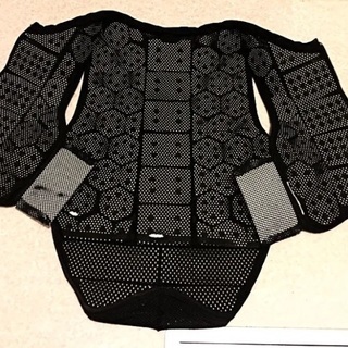 DESCENTE デサント 競馬 乗馬 ボディ プロテクター