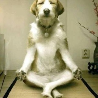 まず座ろ  瞑想