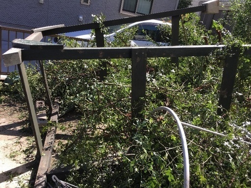 パーゴラ    木製アーチ