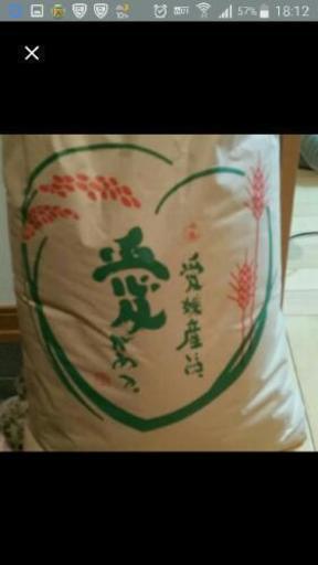 新米コシヒカリ　無農薬