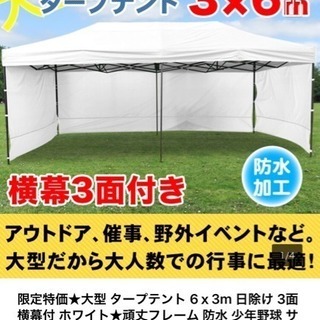 特大 タープテント 6m*3m