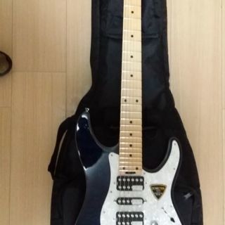 SCHECTERSD－2ー24ーAL/BLU/M超美品