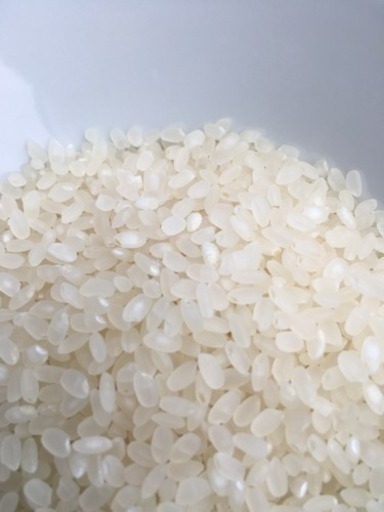 新米ヒノヒカリ玄米  30ｋｇ