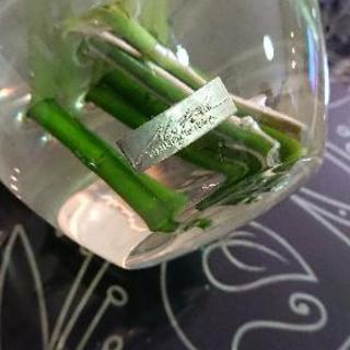 ★直接引取限定！エミリオロバ クチュールフラワー★