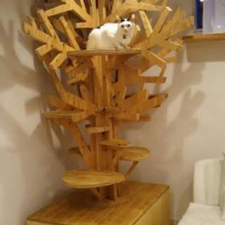 キャット タワー(ツリー) ハンドメイド(限定値下げ)