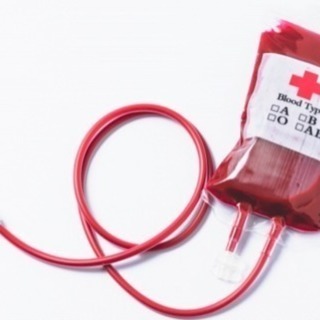献血仲間募集の画像