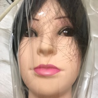 1体〜可！国家試験用ウィッグ11体 拡散希望