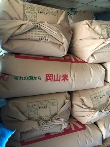 30年度産 きぬむすめ