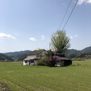 主婦限定♨️よもぎ蒸し・ホットストーン、🍠焼き芋温活交流会 in...