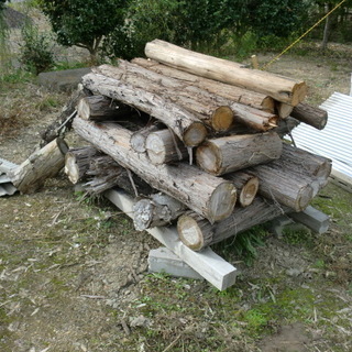 薪ストーブ用の木材、無料