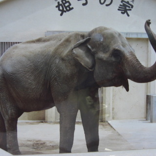 姫路動物園のウィンタースクール