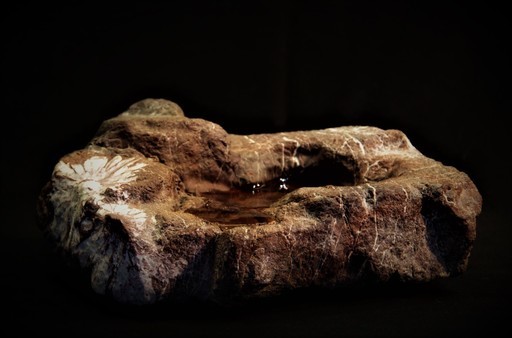 岐阜菊花溜り石 盆石 水石 鑑賞石 盆景 姿石 溜り石 菊花石