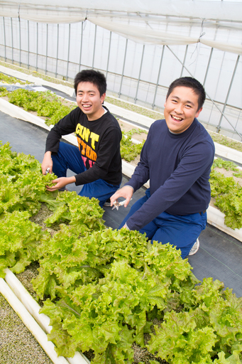 障がい手帳をお持ちの方 New Open あと10名 障がい者の方がイキイキと働ける農園 わーくはぴねす農園 松戸ファーム ｓｐｐ 東松戸のその他の正社員の求人情報 株式会社 エスプールプラス ジモティー
