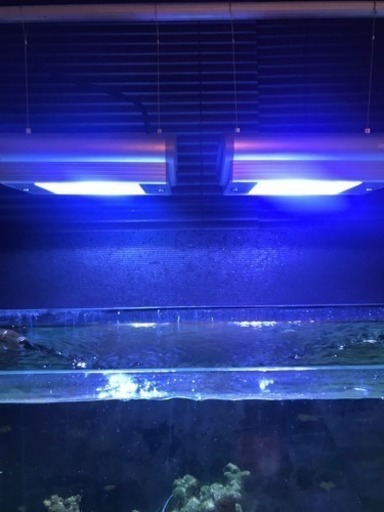 水槽用メタハラ150Wジェックス