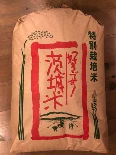 新米 茨城県産コシヒカリ玄米 30Kg