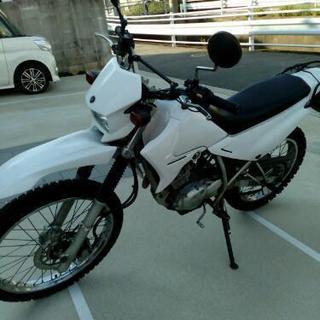 ヤマハ　XTZ125　規制前12.5馬力