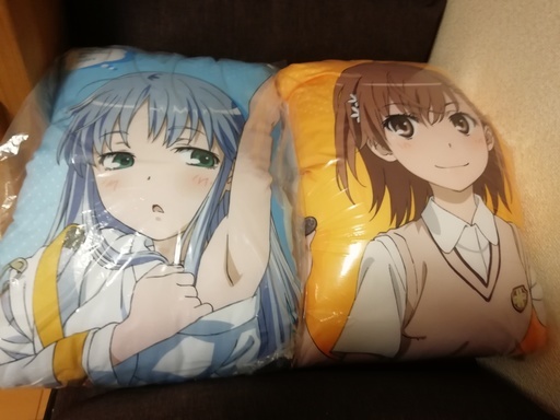 とある魔術の禁書目録ロングクッションインデックス御坂美琴 たなはし 益子のおもちゃ ぬいぐるみ の中古あげます 譲ります ジモティーで不用品の処分 とある魔術の禁書目録ロングクッションインデックス御坂美琴 たなはし 益子のおもちゃ ぬいぐるみ の中古あげます 譲ります ジモティーで不用品の処分