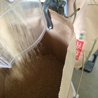 H30年魚沼産コシヒカリ新米！一等米。