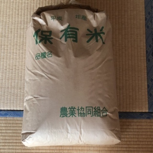 大田原産 玄米 30キロ H29年産