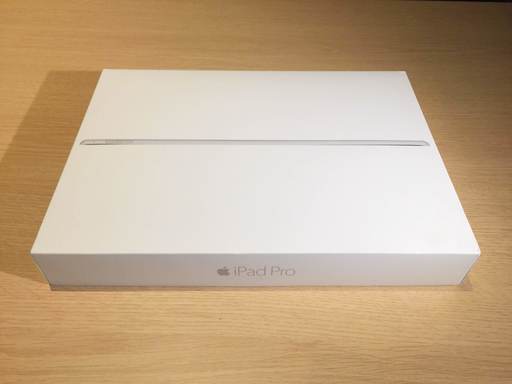 美品 格安 Apple iPad Pro 12.9インチ Wi-Fiモデル 256GB シルバー ML0U2J/A【おまけ付】