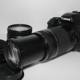Canon EOS 80D標準レンズセット/Canon 75-300mm Wi-Fi/動画/保証/Canon EOS 80D標準レンズセット