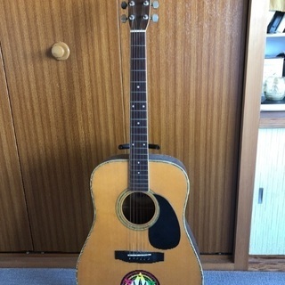 アコースティックギター Morris w-25